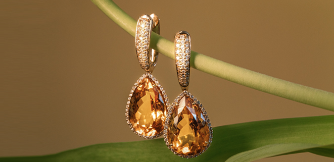 Stunning <br>Earrings